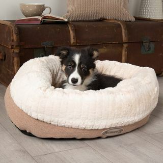 Cama para perros Scruffs Ellen Donut