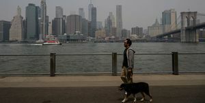 hombre paseando a su perro durante la mala calidad del aire