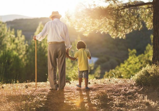 vista trasera o abuelo con bastón sosteniendo la mano de su nieto joven mientras camina