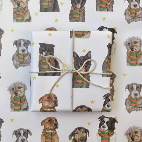 streetvet lanza tarjetas navideñas para apoyar a las mascotas sin hogar