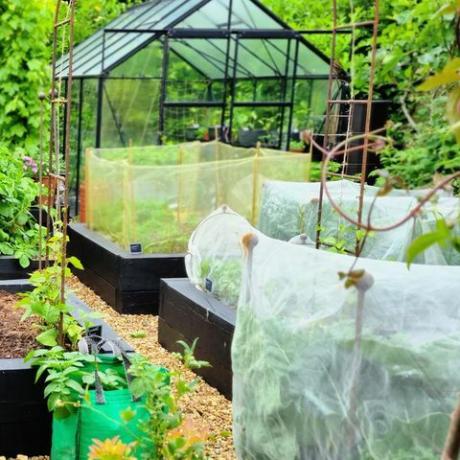 que hacer en el jardin en julio