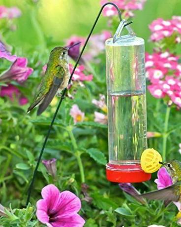 Comedero colgante para colibríes