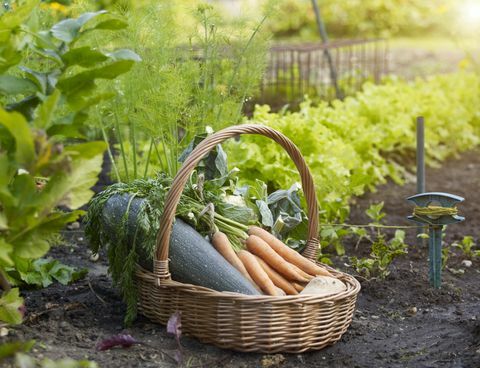 lista de verificación de septiembre de trabajos de jardinería