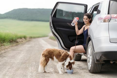 una joven latina sentada en su auto con la puerta abierta en una carretera en el campo y un perro bebiendo agua de un bol