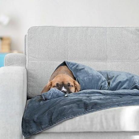 La mejor manta ponderada para perros en Amazon