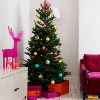 Árbol de Navidad de abeto Nordmann - Árbol de lujo de corte fresco que no se cae (aprox. 6 pies) + Entregado del 7 al 12 de diciembre +
