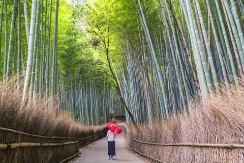 Mujer en camino a través del bosque de bambú, Sagano, Japón