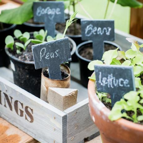 Ideas de regalos de jardinería por menos de £ 35