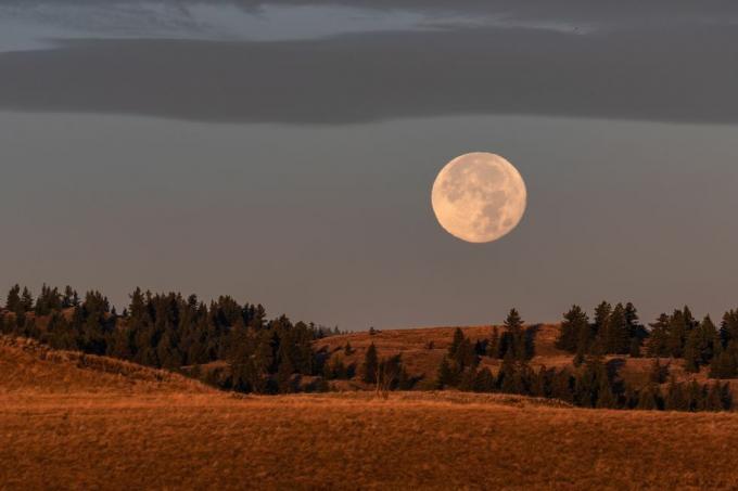 luna de cosecha sobre tierras de cultivo en kamloops, columbia británica, la luna llena más cercana al equinoccio de otoño y el primer día de otoño