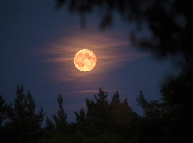 ¿Qué es la luna de un cazador? La interesante historia detrás de la luna llena de octubre