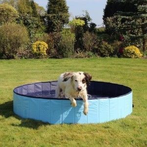 Piscina plegable para perros Rosewood Cool Down