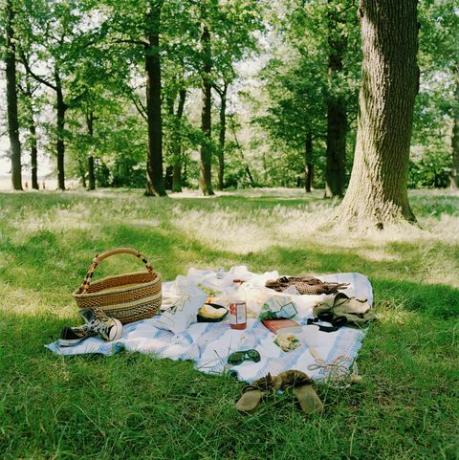 Picnic sobre hierba cerca de árboles