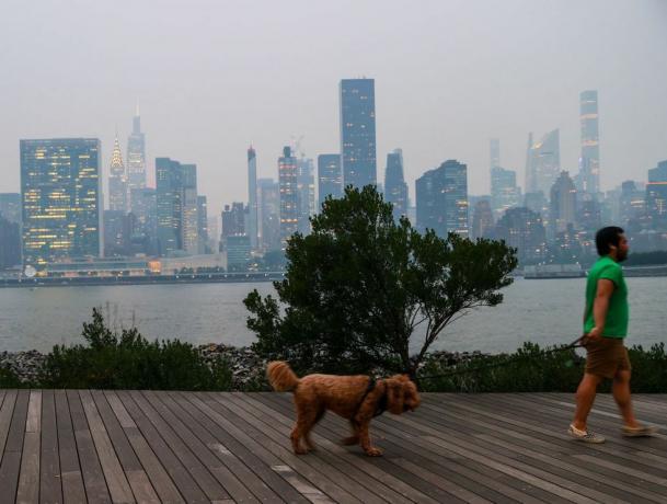 hombre paseando a su perro durante la mala calidad del aire