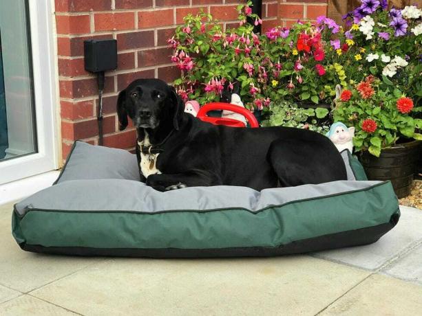 Colchón impermeable para mascotas grandes