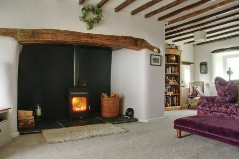 chimenea de la cabaña y sala de estar