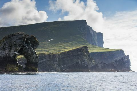 isla de shetland foula escocia