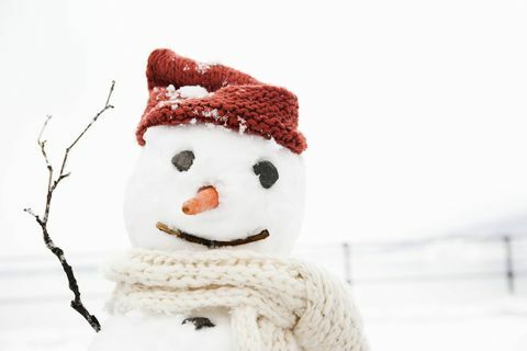 muñeco de nieve con sombrero y bufanda con nariz de zanahoria y brazos de palo