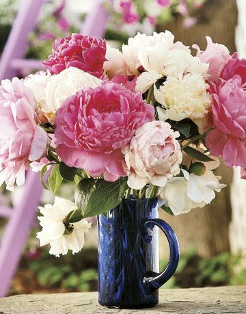 peonías rosas y blancas en un jarrón azul