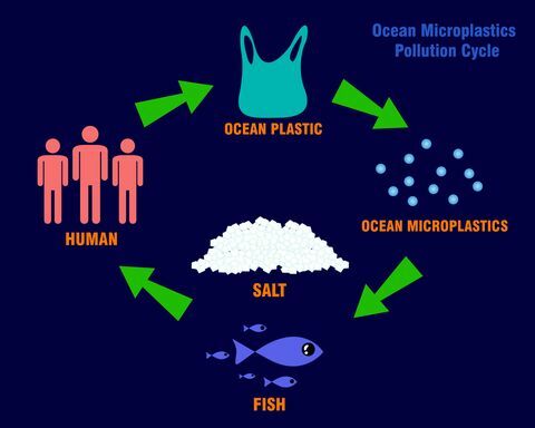 Concepto de círculo de contaminación de microplásticos oceánicos. ilustración vectorial