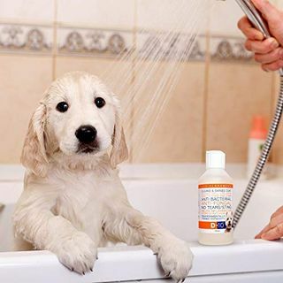 Champú para perros D-10 Anti-FungalAnti-Bacterial No Tears