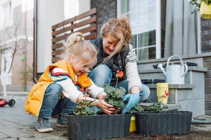 abuela con nieta pequeña plantando flores en un porche en primavera