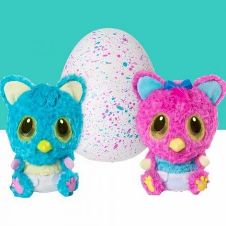 Hatchimals Hatchibabies 