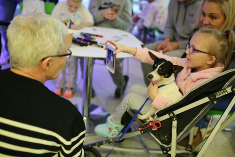 Paul O'Grady For the Love of Dogs especial de Navidad