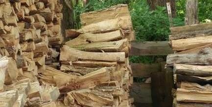 gato escondido en la pila de madera