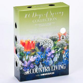 Colección de bulbos de flores de 100 días de primavera de Country Living