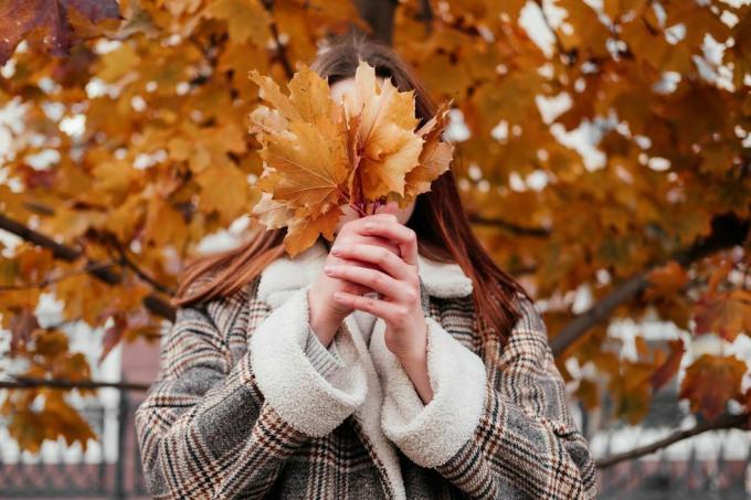 mujer sosteniendo hojas de otoño