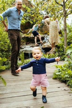 Príncipe Louis Príncipe William Walking Garden Chelsea Flower Show