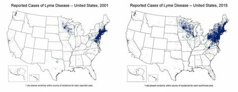 Mapa de la enfermedad de Lyme diseminada entre 2001 y 2015