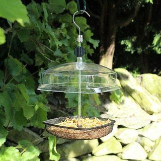 Comedero para pájaros Kingfisher Hanging Mealworm con dosel de plástico