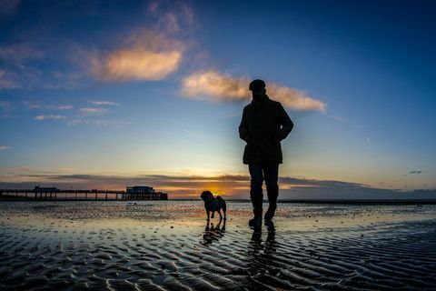 Hombre caminando con perro en la playa de arena