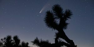 cometa neowise visible en el sur de california