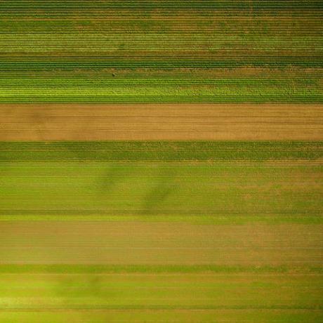 fotos aéreas patrones de tierras de cultivo 2