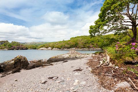 glengarriff castle en venta en irlanda