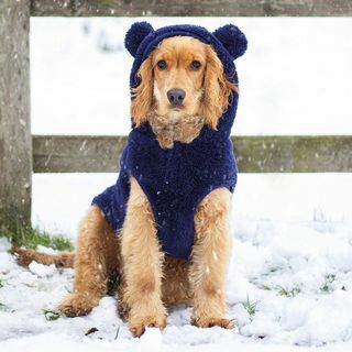 Sudadera con capucha para perro Teddy Bear - Grande