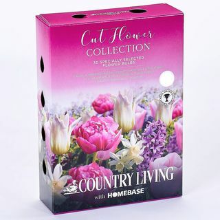 Colección Country Living Cutflower