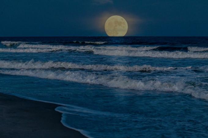 Superluna llena elevándose sobre el océano cerca de Myrtle Beach, Carolina del Sur