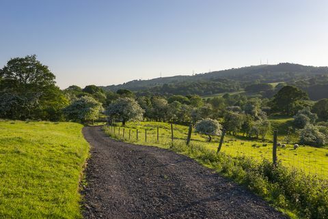 pista de granja en campo inglés en mayo sol