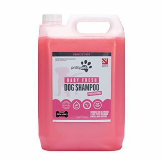 Baby Powder Champú Perro 5L