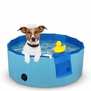 Piscina infantil plegable para mascotas