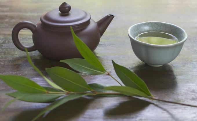 Bodegón con tetera de cerámica, taza de té verde y rama de planta de té