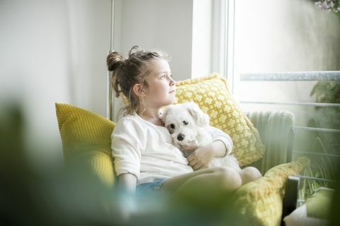 Niña sentada en el sillón en casa abrazando a su perro