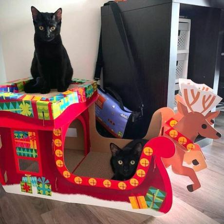 Target Wondershop Navidad casa rascador de gatos