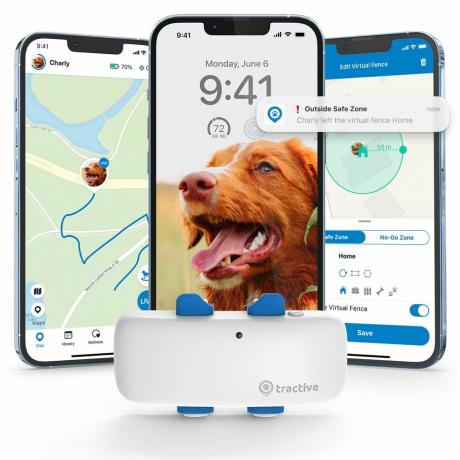 Rastreador GPS para perros