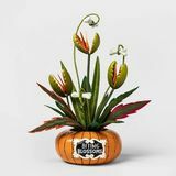 Biting Blossoms Artificial Planta de Halloween