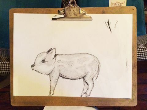 clase de dibujo de cerdo