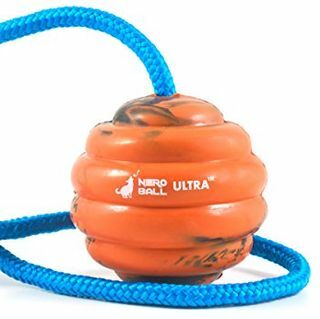 Nero Ball Ultra TM - Pelota de entrenamiento para perros con cuerda - Juguete de ejercicio y recompensa para perros